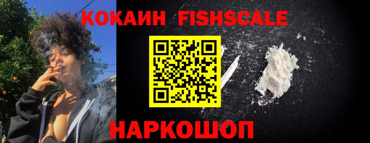 COCAIN Fish Scale  Вход с VPN  Асино  COCAIN Fish Scale 