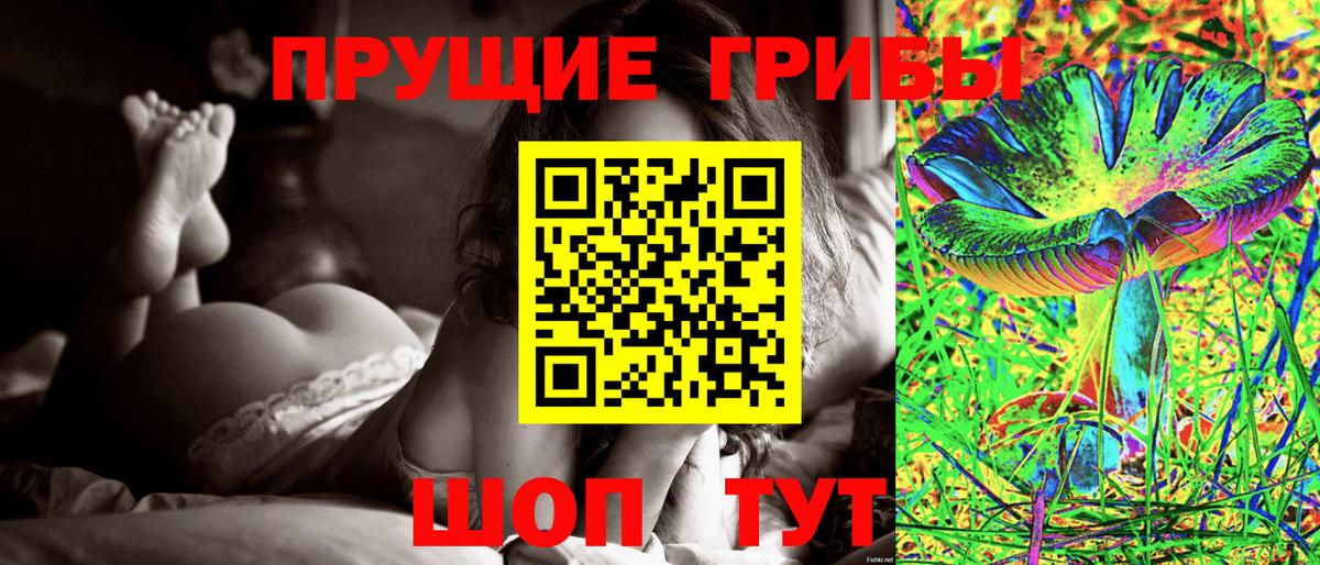 Псилоцибиновые грибы Cubensis Асино