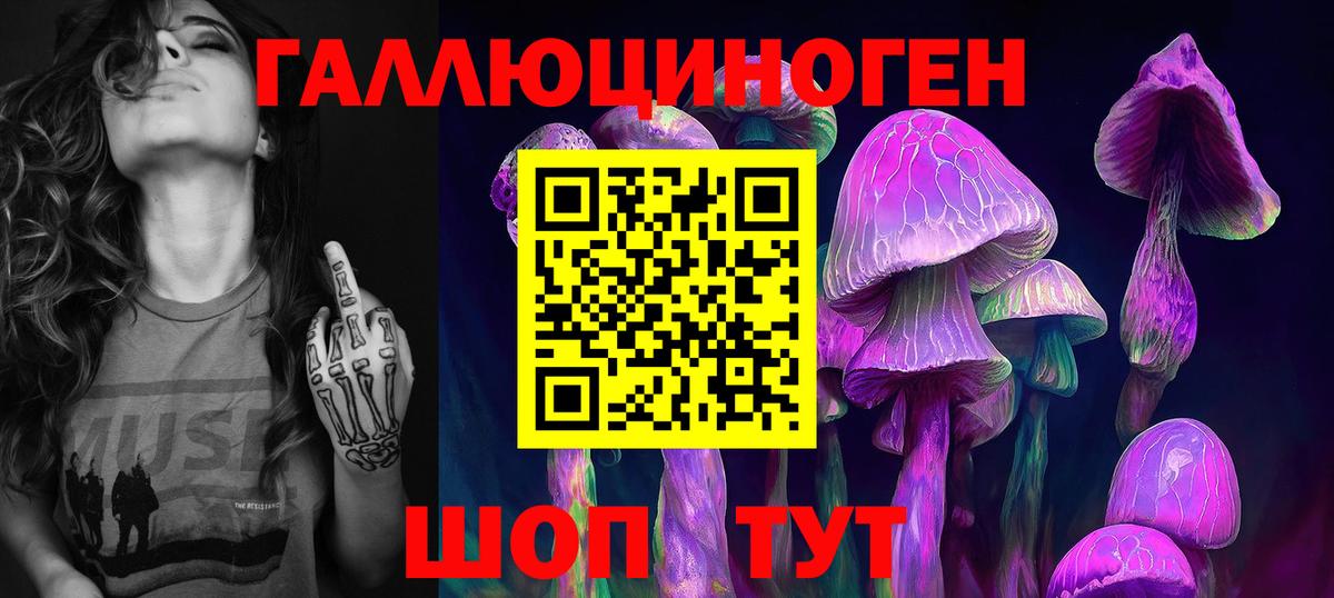 Галлюциногенные грибы прущие грибы  Вход с VPN  Асино 